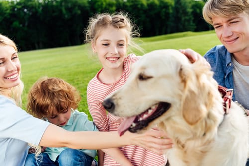 family at picnic petting dog