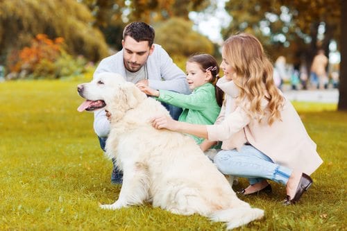 Happy family with Labrador Retriever dog in a park.