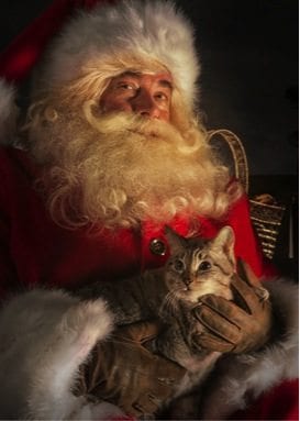 santa and a cat